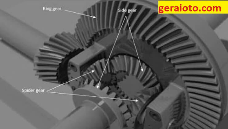 fungsi side gear