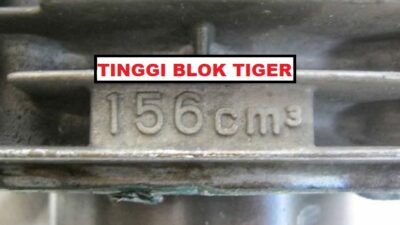 tinggi blok tiger standar