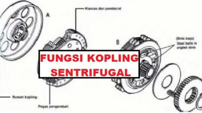 fungsi kopling sentrifugal