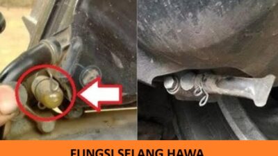 fungsi selang hawa